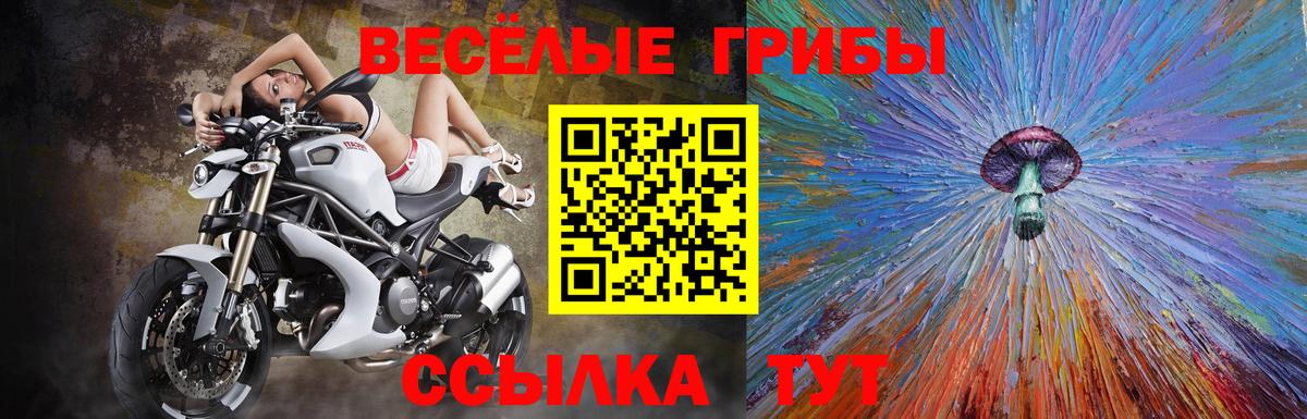 Белая Калитва  Псилоцибиновые грибы Psilocybe  наркотики  Вход с VPN 